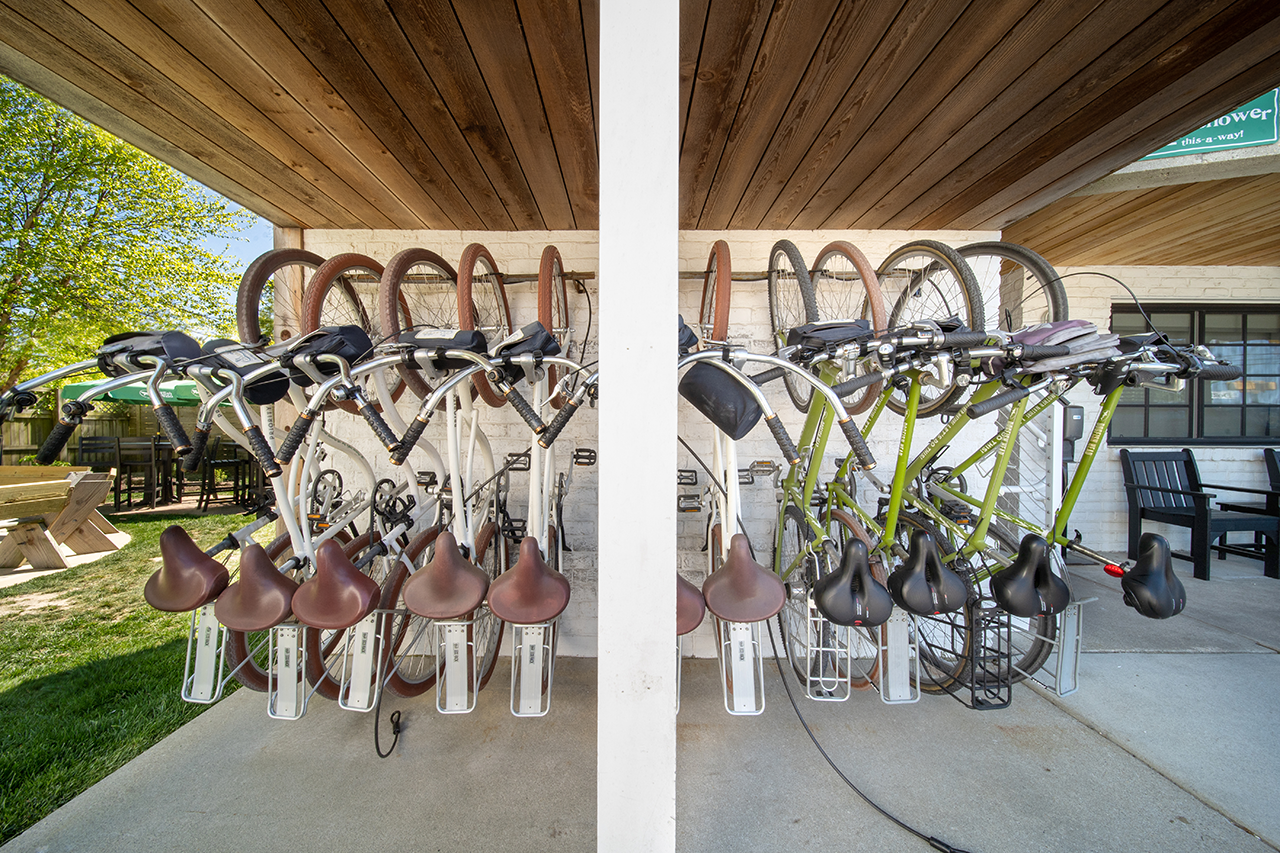 A wall of bikes hanging vertically at the Dogfish Inn