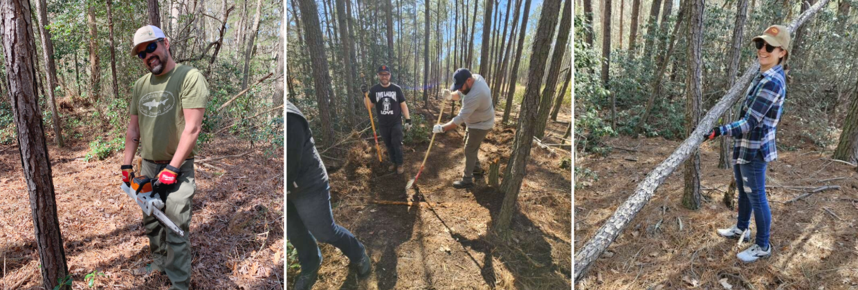 A collage of Dogfish Head coworkers maintaining a forest with Sussex County Land Trust