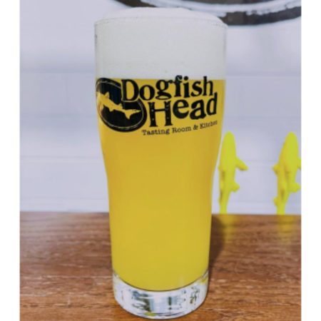 Dogfish Head beer Leaning Tropical in a pint glass