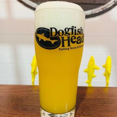 Dogfish Head beer Spectrum Analyzer in a pint glass