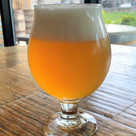 Beer in pint glass on bar