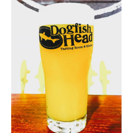 Dogfish Head beer Transcendental Variation that is Hazy Golden with a white head in a pint glass.