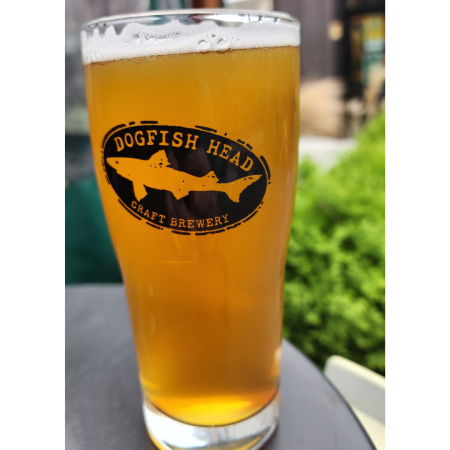 Dogfish Head beer t’s Just a Little Hazy in a pint glass