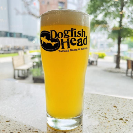 Dogfish Head beer Pain Relieva Punch that is hazy, pale gold with a white head in a pint glass