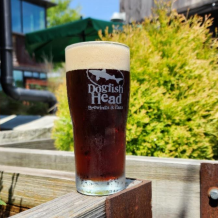 Dogfish Head beer Spiced Hearth that is reddish brown in a pint glass