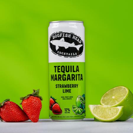 Strawberry Lime Tequila Margarita | Dogfish Head Craft Brewed Ales ...