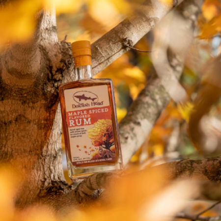 A bottle of Dogfish Head Maple Spiced Rum in a tree sitting on a branch with yellow and brown leaves behind it