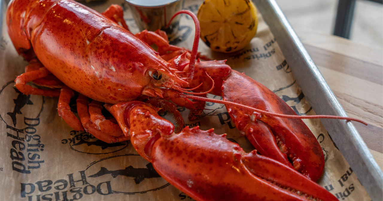 Fresh, whole Maine lobster from Dogfish Head Chesapeake & Maine