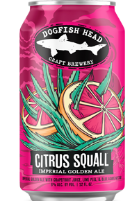 Dogfish Head Citrus Squall Can